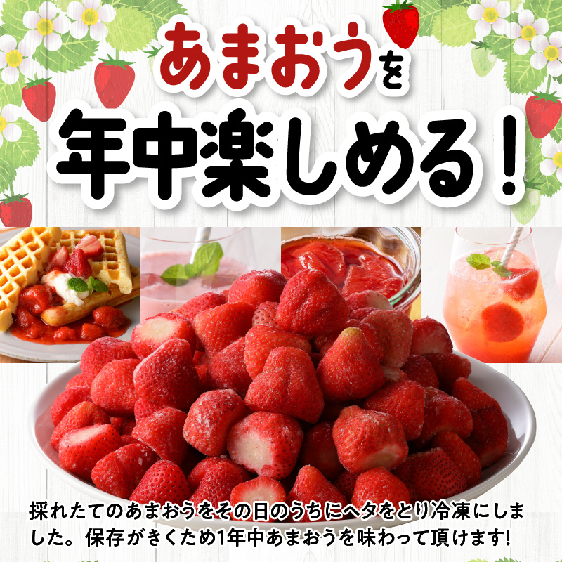 福岡県産　冷凍あまおう　２０００ｇ（５００ｇ×４パック）