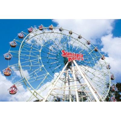 ふるさと納税 阿賀野市 スギ薪 12kg 40cm×14本 遊園地で製造した薪 サントピアワールド |  | 03