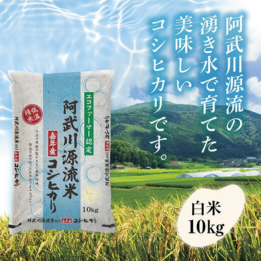 D391【ふるさと納税】 阿武川源流米コシヒカリ白米10kg