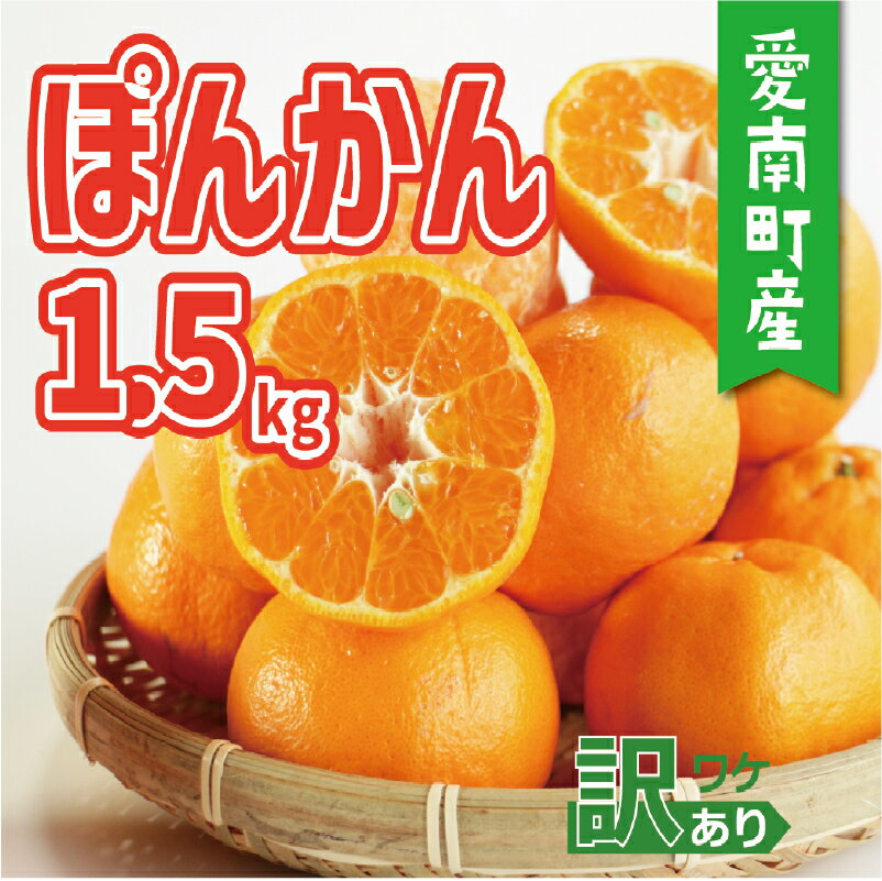 【ふるさと納税】 お試し用 訳あり ポンカン 1.5kg 5000円 みかん 蜜柑 ぽんかん 産地直送 国産 農家直送 糖度 期間限定 数量限定 特産品 人気 限定 甘い フルーツ 果物 柑橘 小玉 含む 規格外 サイズ ミックス 傷み補償 500g ミッチーのおみかん畑 愛南町 愛媛県