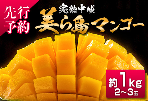 【2025年夏季出荷 先行受付開始！】 完熟中城美ら島マンゴー（優品） 約1kg　沖縄 特産品 完熟マンゴー フルーツ 果物 デザート スイーツ ジュース スムージー アイス シャーベット ソルベ 贈答 贈り物 プレゼント お土産 お見舞い お中元 ギフト 数量限定