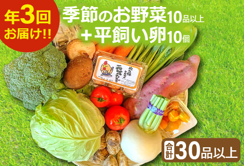 C-811 【3回定期便】季節のお野菜と平飼い卵のセット (10～12品)