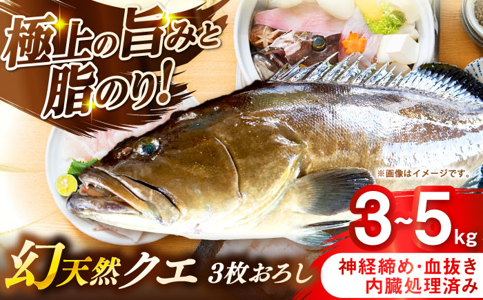 壱岐産　幻天然クエ　3枚おろし　3kg～5kg《壱岐市》 【みやげ処 縁由】 [JBJ015]