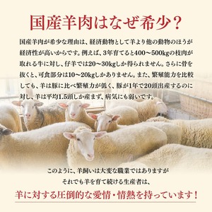 宮崎県産羊肉　寿ジンギスカン600g（300g×2）【 肉 羊肉 国産 九州産 川南町産 ジンギスカン 羊 ひつじ 味付き 】