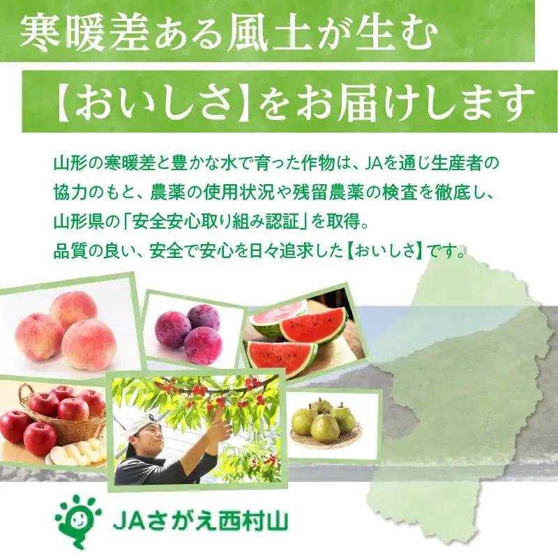 《先行受付》すもも「サンルージュ」約2kg 2～3L【2026年9月上旬頃～発送予定】【山形プラム・大江町産】 001-079