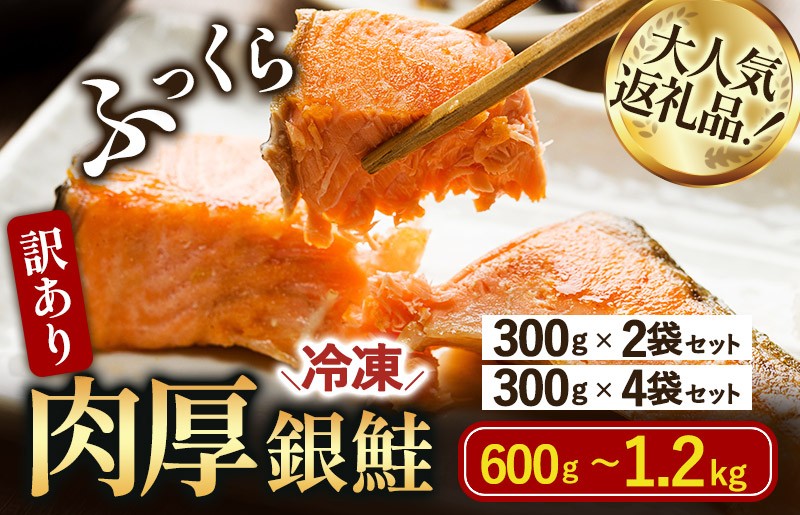 
                  ＼選べる内容量／訳あり塩銀鮭切り身＜600g(300g×2袋)／1.2kg(300g×4袋)＞【V003250】【配送不可地域：離島】 銀鮭 鮭 ふるさと納税訳あり鮭 ふるさと納税訳あり食品 サーモン 冷凍 家計応援 切り身 小分け 今治 今治市ふるさと納税 厚切り
                