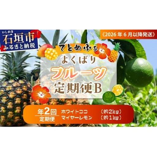 マツコの知らない世界で紹介！ 幻のホワイトココ＆青切りマイヤーレモンの定期便　年２回に分けてお送りします 《2027年6月以降発送》TF-094-t02