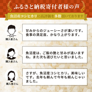 令和5年産 お米マイスター厳選 魚沼産 コシヒカリ 無洗米 6kg (3kg×2) ( 米 お米 こめ コメ おこめ 白米 こしひかり )