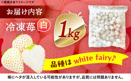 冷凍白いちご 1kg いちご 苺 イチゴ【配達不可：離島】 / くぼ苺農園[AECJ028]