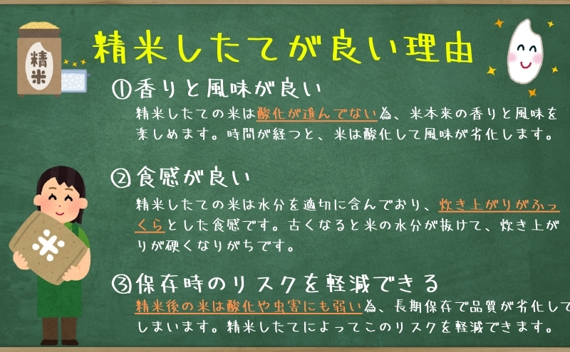 ★新鮮！発送日精米★『定期便11ヵ月』銀河のしずく《特A 6年連続獲得中!》＆ひとめぼれ食べ比べセット【無洗米】 5kg×2 令和6年産 盛岡市産 ◆1等米のみを使用したお米マイスター監修の米◆