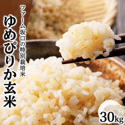 ふるさと納税 岩見沢市 令和7年産!ファーム坂口の特別栽培米 ゆめぴりか玄米 30kg (30kg×1袋)