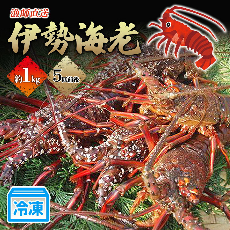 【ふるさと納税】伊勢エビ 漁師直送 冷凍伊勢海老1kg 約1kg 5匹前後 急速冷凍 ボイル オーブン焼き -60度 超低温 冷凍伊勢海老 伊豆今井浜 静岡県河津町 河津町　お届け：2026年4月中旬～12月中旬