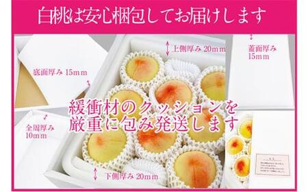 桃 2024年 先行予約 岡山の白桃 200g以上×8玉 白桃 旬 みずみずしい 晴れの国 おかやま 岡山県産 フルーツ王国 果物王国[No.5220-1031]