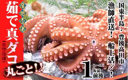 【加熱あり】真ダコ まるごと①