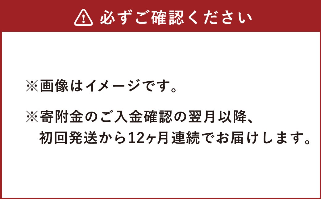 【12ヶ月定期便】天然鉱泉水「信玄」ナチュラルミネラルウォーター