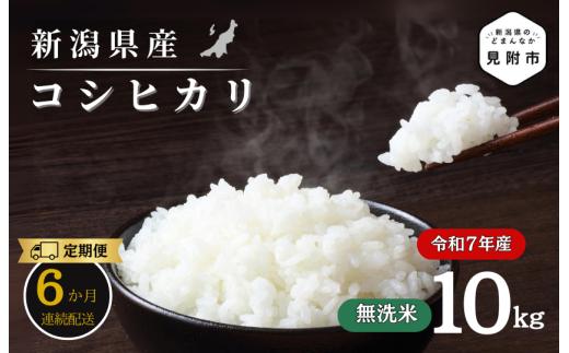 【6か月定期便】R7年産 新潟県産 コシヒカリ 10kg （無洗米）新潟のど真ん中 見附市 こしひかり