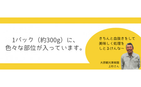 新見産 天然猪肉 極上詰め合わせ スライス肉 約300g×3 【12月上旬～8月下旬頃発送】