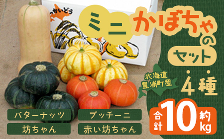 【2026年8月下旬以降順次発送】ミニかぼちゃのセット（4種） 約10kg バターナッツ プッチーニ 北海道 豊浦町産 TYUH001