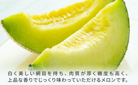 クラウンメロン 2個 白等級 約1.3kg クラウン メロン 贈答 高級 フルーツ 果物 静岡 浜松市【配送不可：離島】