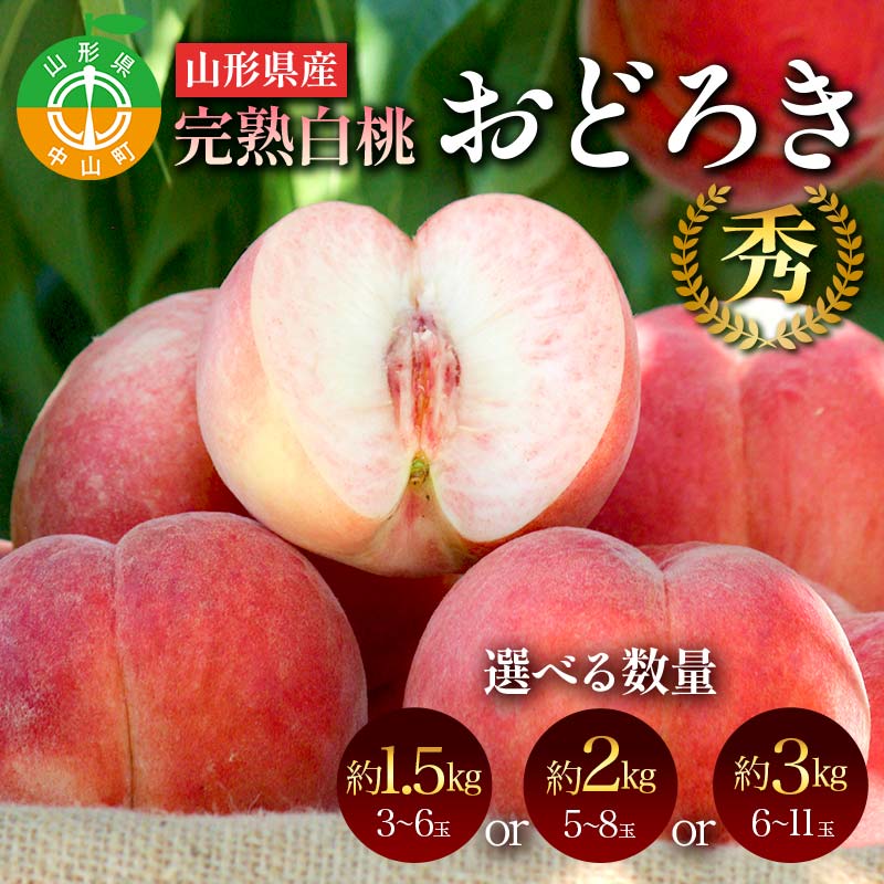 【ふるさと納税】 容量が選べる 山形県産 完熟白桃おどろき 約1.5～3kg 秀 桃　もも　フルーツ果物 くだもの 山形県 中山町 F4A-0919var