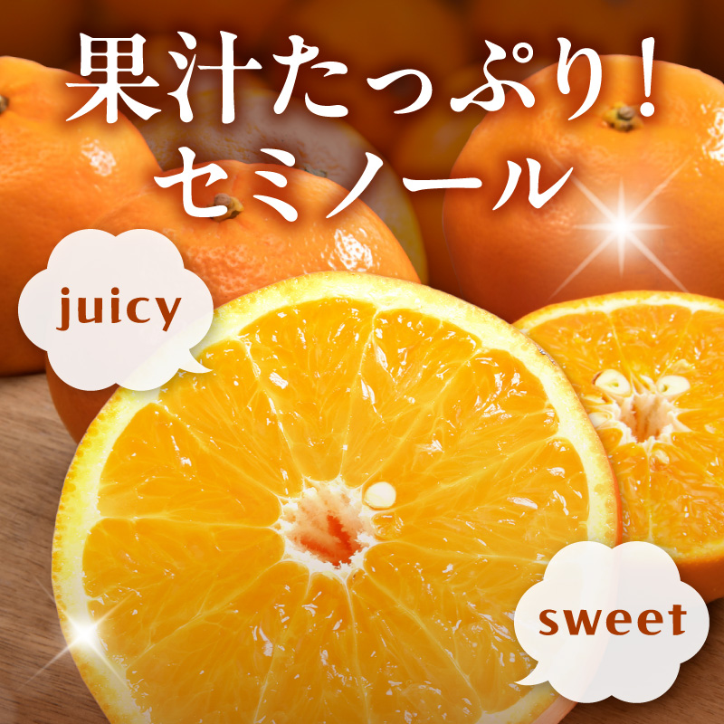 【2027年先行予約】ジューシー柑橘 セミノールオレンジ 約5kg_G7373