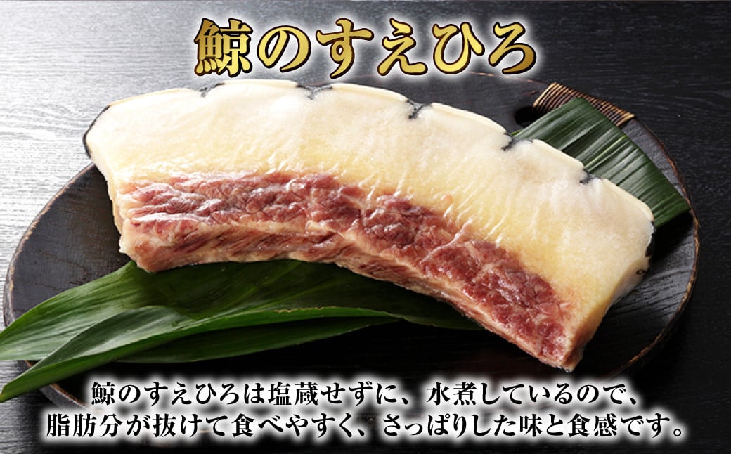 すえひろブロック 100g×5個セット ／ 鯨 クジラ肉 鯨料理 セット 珍味 畝須