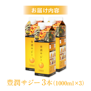 豊潤サジー 1000ml×3本セット サジージュース【紙パックタイプ】 鉄 鉄分 果実