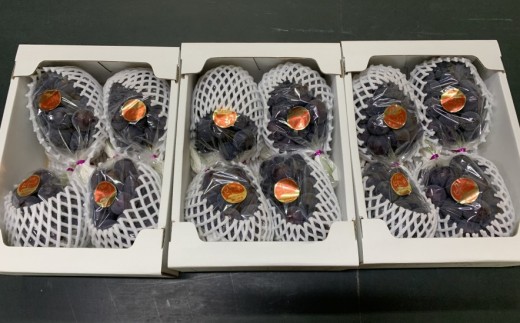 梱包例（4房が入る場合）