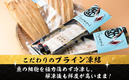 【全3回定期便】対馬産 べっぴんあなご 詰め合わせ  対馬 新鮮 穴子 刺身 海産物 魚介  [WAQ004]