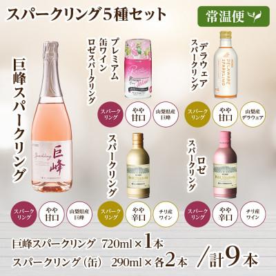 ふるさと納税 笛吹市 スパークリングワイン 5種 飲み比べ ボトルワイン1本・缶ワイン4種8本 山梨県 笛吹市 |  | 03