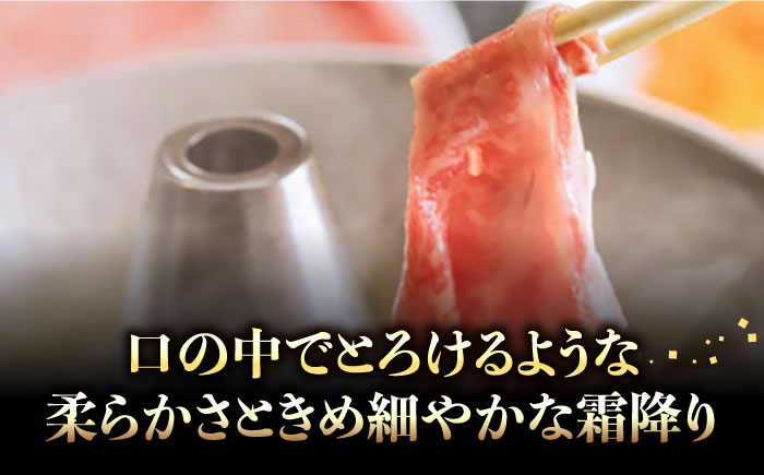 【博多和牛】特選しゃぶしゃぶ用 (400g)《築上町》【株式会社ゼロプラス】[ABDD047]