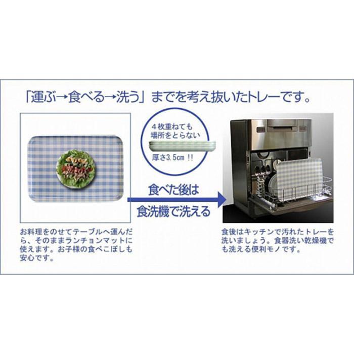 【グリーン 2枚組】ST ランチョン トレー L 39cm マーチ タツクラフト 【Tk112】　DA90042VC01_イメージ5