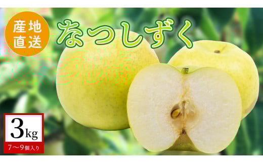 【 産地直送 】 なつしずく 3kg 梨 フルーツ 果物 国産 日本産 梨 ナシ なし 和梨 [CZ009ci]