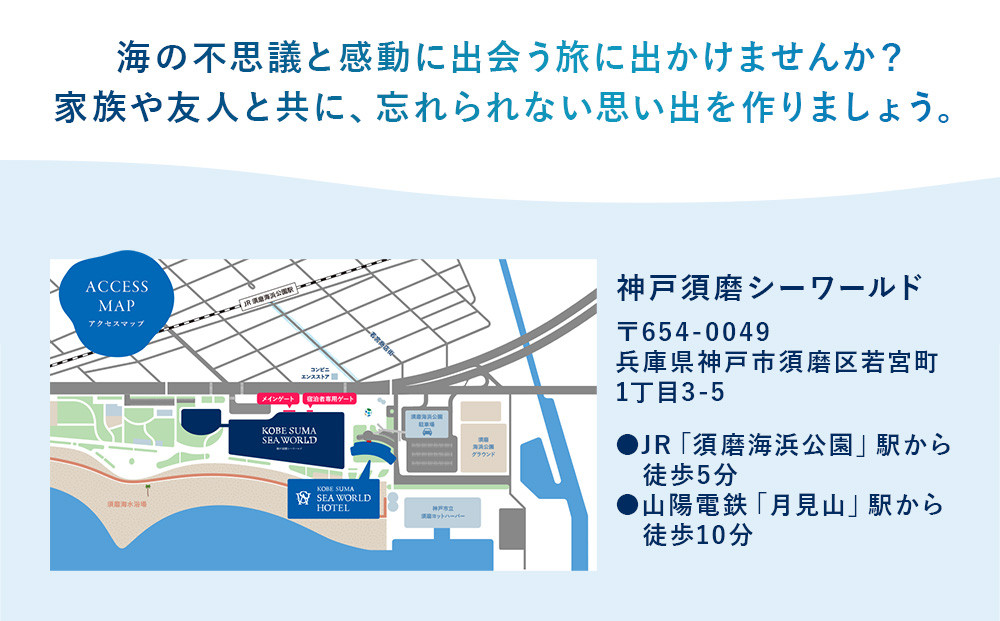 神戸須磨シーワールド（水族館）入館券　３枚セット（有効期限：2026年10月1日～2027年3月31日）
