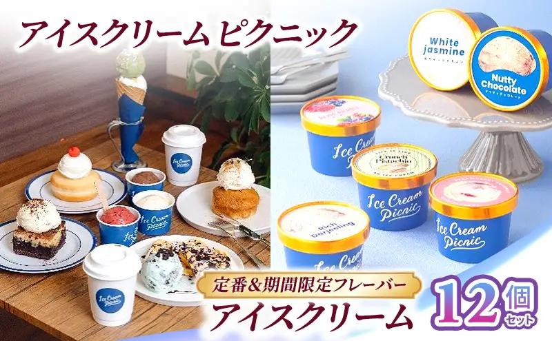 アイスクリームセット 定番＆期間限定 食べ比べ アイスクリームセット【12個】
