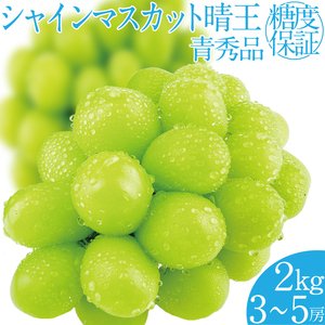 2026年 先行予約受付中 シャインマスカット晴王 約2kg(3～5房) 岡山県産 種無し 皮ごと食べる みずみずしい 甘い フレッシュ 瀬戸内 晴れの国 おかやま 果物大国 ハレノフルーツ