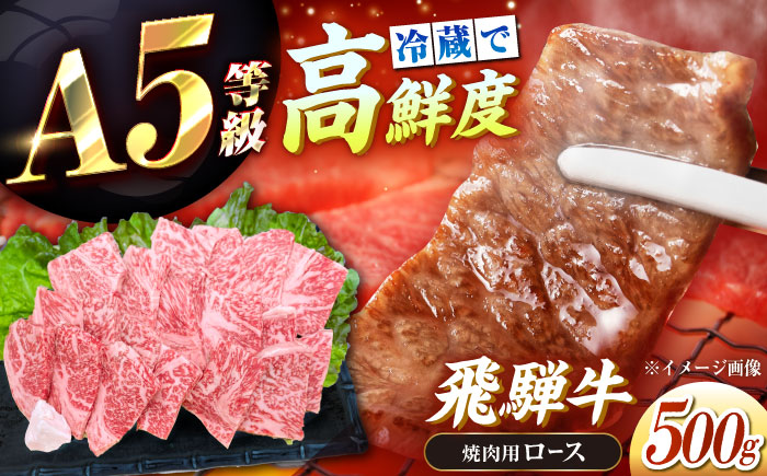 【チルド（冷蔵）発送！】 「飛騨牛」 A5等級 ロース 500g / 牛肉 焼肉 鉄板焼き 網焼き BBQ / 恵那市 / 東美濃農業協同組合 [AUFX008]