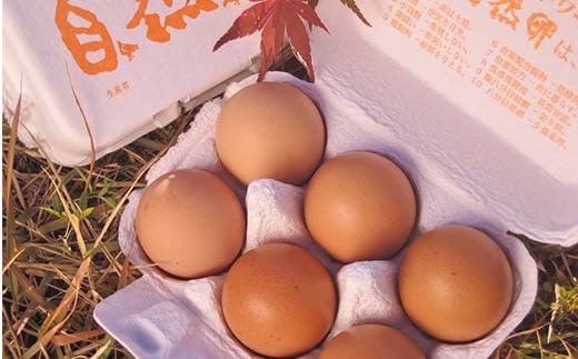 平飼い卵 とれたて発送「御幸卵」の生卵と温泉たまごセット（生卵24玉、温たま24玉） 伊達市 福島県 国産 養鶏場直送 卵 たまご 玉子 生卵 鶏卵 温泉たまご   ゆで卵 たまご焼き 目玉焼き F2