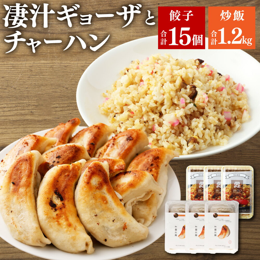 【ふるさと納税】凄汁ギョーザ 15個 （5個入×3パック） と チャーハン 約400g×3パック 肉汁 凄汁 餃子 炒飯 中華 人気 東京食堂 神栖市 茨城県 送料無料