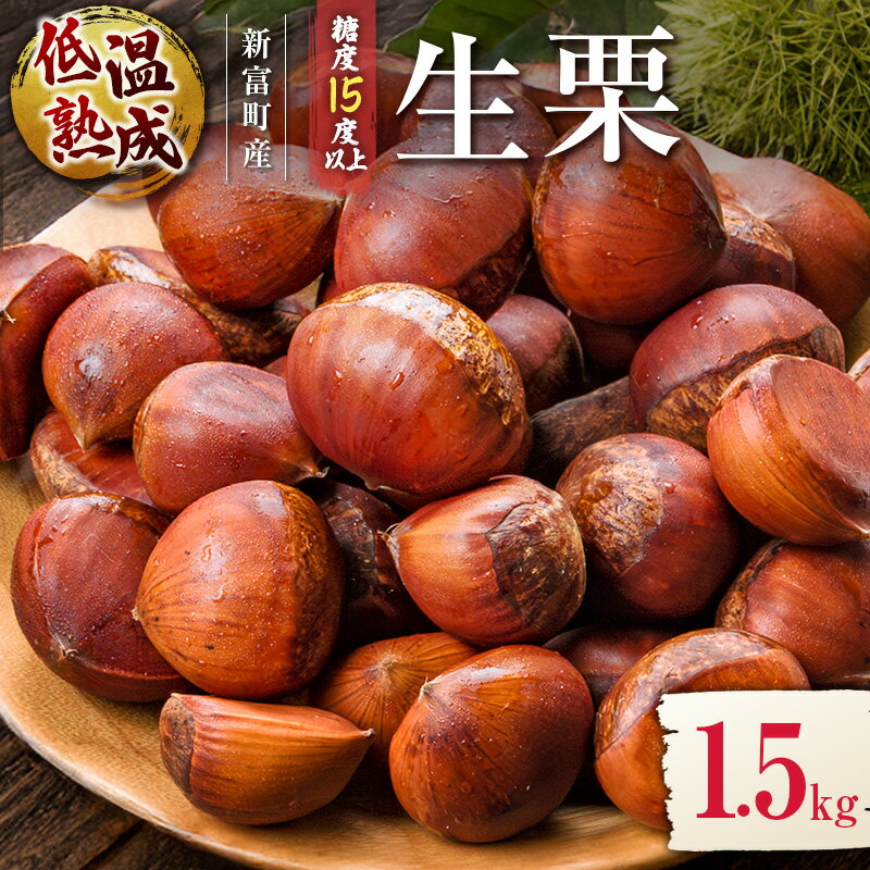 【ふるさと納税】＜期間限定＞国産 低温熟成栗（生栗）1.5kg 糖度15度以上 熟成宝珠栗 産地直送 宮崎県新富町産