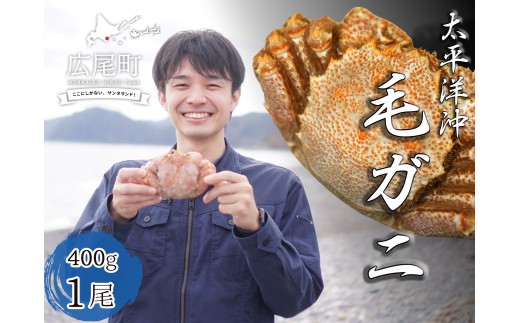 ボイル毛ガニ　400g　１尾（茹で冷凍）【けがに　ケガニ　毛蟹　毛がに　カニ　太平洋　北海道　広尾町　冷凍　ボイル　海鮮　グルメ】(0103)