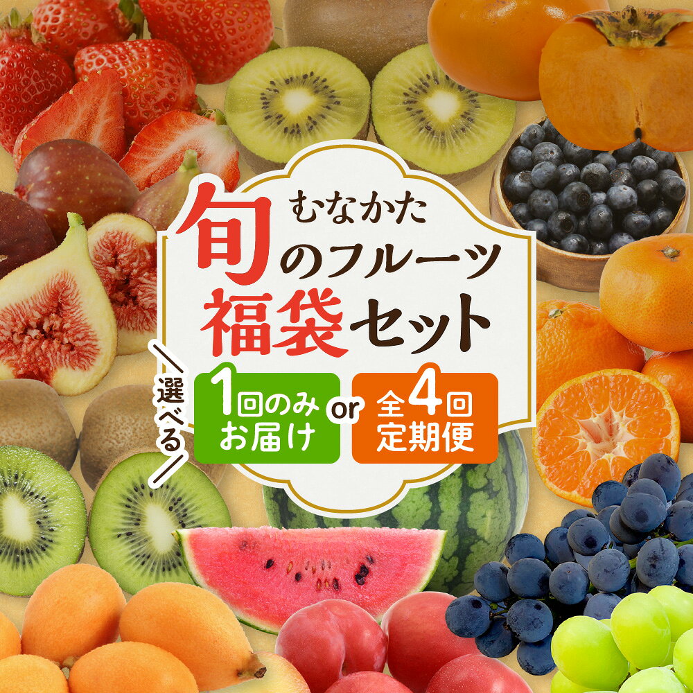 【ふるさと納税】何が届くかお楽しみ！むなかた旬のフルーツ福袋セット 1回 4回定期便【JAほたるの里】 選べる 回数 配送時期 送料無料 果物 くだもの 詰め合わせ あまおう 博多あまお キウイ いちじく みかん マスカット ブルーベリー 定期便 ふるさと納税 フルーツ