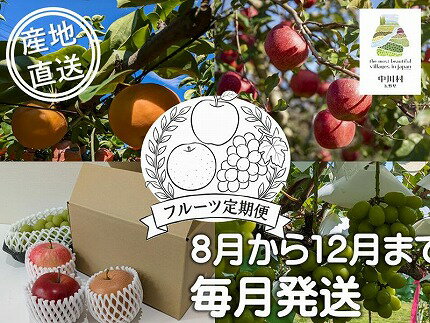 【ふるさと納税】担当者おすすめ「味覚の里なかがわ」の旬のフルーツ定期便　味覚の里”中川村”　旬の果物　厳選　食べきりサイズ　フルーツ　定期便（5回発送）　りんご　ぶどう　なし　梨　シャインマスカット