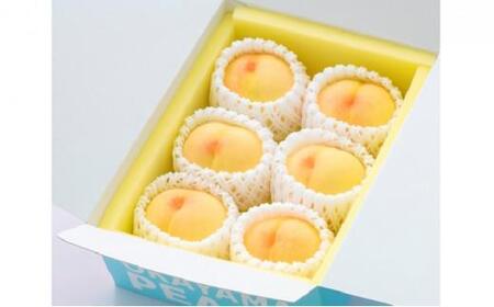 桃 2024年 先行予約 ご家庭用 岡山の 白桃 早生種 5～6玉 合計約1.3kg もも モモ 岡山県産 国産 フルーツ 果物 ギフト [No.5220-0391]