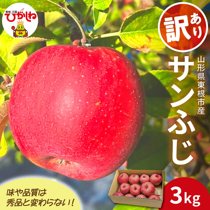 【ふるさと納税】【 2026年産 】 りんご 訳あり サンふじ 3kg | リンゴ 林檎 アップル さんふじ フルーツ 果物 くだもの 特産 産地直送 期間限定 常温配送 家庭用 ご当地 お取り寄せ グルメ 3キロ 送料無料 国産 東北 山形県 東根市