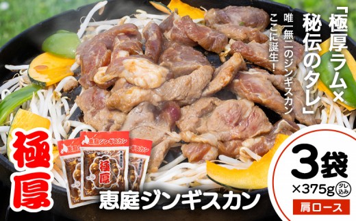 
                  恵庭ジンギスカン（NZラム肩ロース使用）×3袋 | ジンギスカン 焼肉 ラム ラム肉 肩ロース 恵庭ジンギスカン 羊肉 バーベキュー BBQ 特産品 ご当地グルメ ご飯のお供 冷凍肉 お取り寄せ 北海道 恵庭市 恵庭【19010302】
                