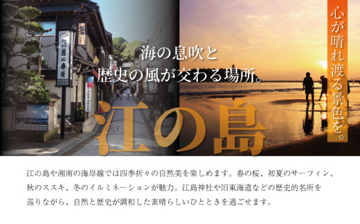 ディナーコース カジュアルコース 1名様分 8品 オーガニックグリル鵠沼海岸 食事券 レストラン フレンチ お食事カード グルメ券 利用券 商品券 補助券 ギフト券 ギフト プレゼント チケット お食