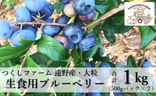 
            生 ブルーベリー 果実 500g × 2パック 合計 1kg 遠野産 大粒 完熟 つくしファーム  【先行予約】2025年7月上旬から順次発送予定
          