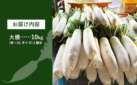 【きあり農園】幸手市産 大根 10kg - 朝採れ ダイコン だいこん 産地直送 野菜 ベジタブル 美味しい おいしい 冬野菜 煮物 鍋 おでん おすすめ 送料無料 埼玉県 幸手市