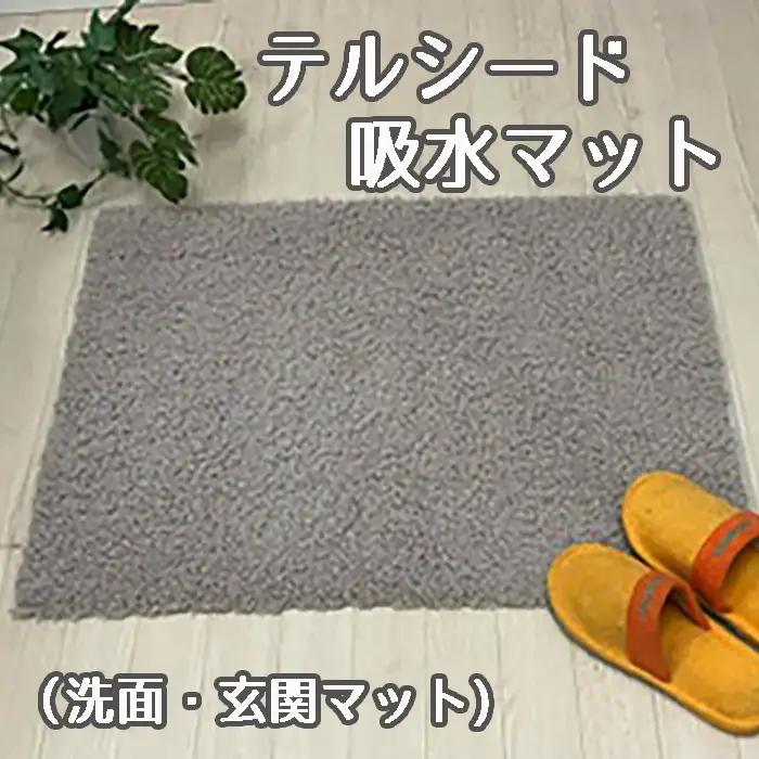 テルシード 吸水マット（洗面・玄関マット） No.257
